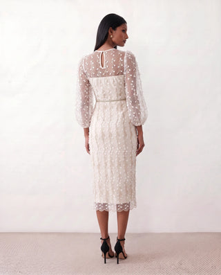 Letitia Fitted Embroidered Knee Length Dress in White — back view